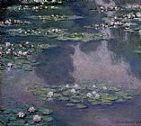 Water-Lilies 36